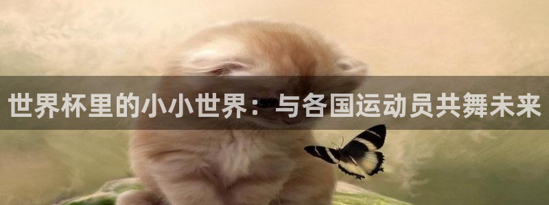 2026世界杯亚洲区预选赛赛程：世界杯里的小小世界：与各国运动员共舞未来