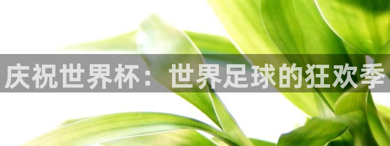 世界杯预选赛欧洲区赛程：庆祝世界杯：世界足球的狂欢季