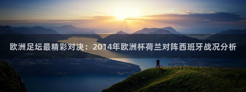 2026世界杯赛程时间表最新：欧洲足坛最精彩对决：2014年欧洲杯荷兰对阵西班牙战况分析