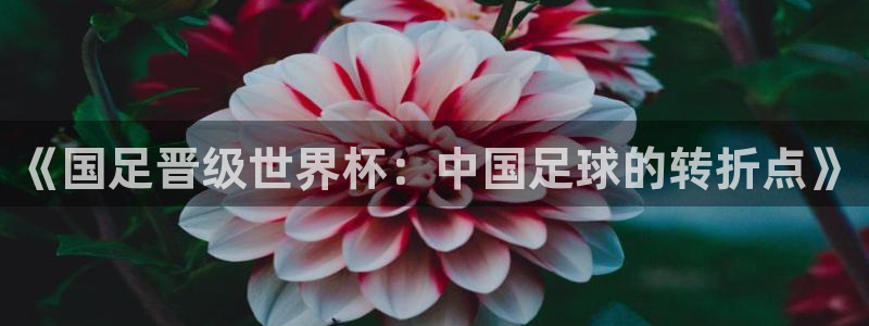 2026年世界杯：《国足晋级世界杯：中国足球的转折点》