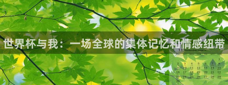 足球杯：世界杯与我：一场全球的集体记忆和情感纽带