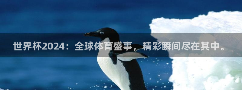 世界杯在线直播：世界杯2024：全球体育盛事，精彩瞬间尽在其中。