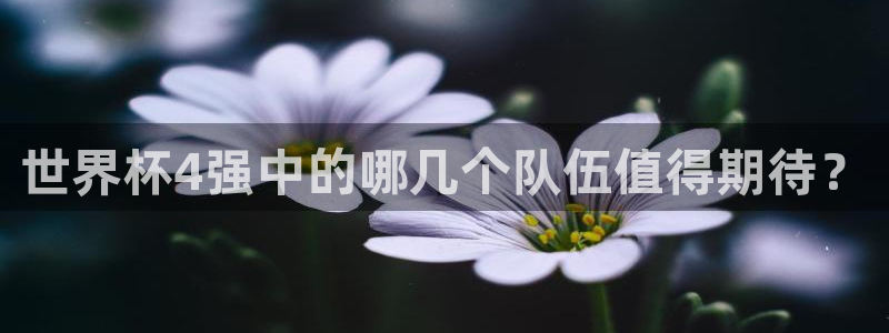 世界杯直播免费观看：世界杯4强中的哪几个队伍值得期待？