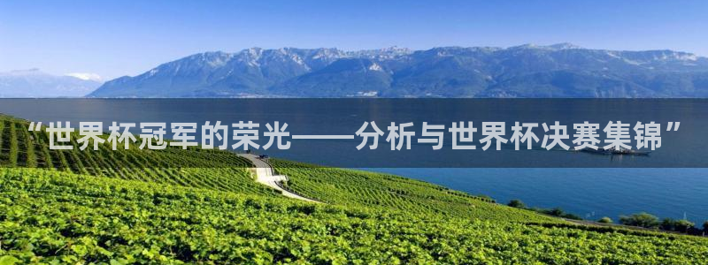 世俱杯直播：“世界杯冠军的荣光——分析与世界杯决赛集锦”