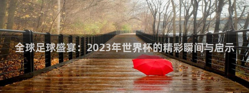 看世界杯：全球足球盛宴：2023年世界杯的精彩瞬间与启示