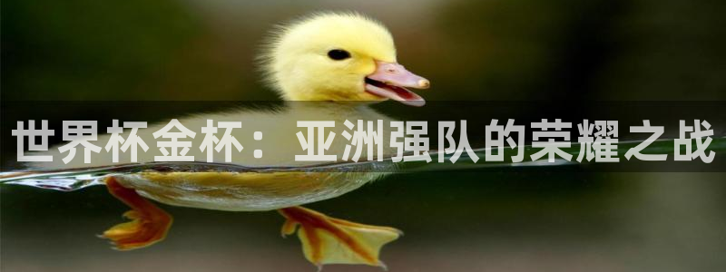 世预赛欧洲赛程表：世界杯金杯：亚洲强队的荣耀之战