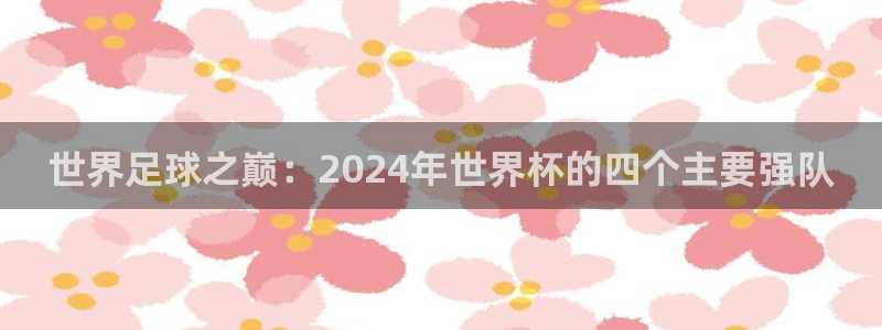 今年的世界杯：世界足球之巅：2024年世界杯的四个主要强队