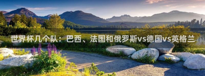 世界杯直播：世界杯几个队：巴西、法国和俄罗斯vs德国vs英格兰