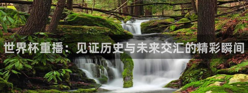 2026世界杯买球：世界杯重播：见证历史与未来交汇的精彩瞬间